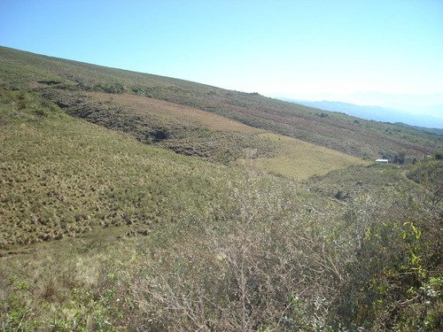 Imagen 2 de 7 de Hermoso Campo En Balcosna Catamarca