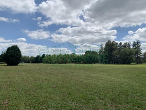 Imagen 3 de 7 de Excelente Terreno 4166m2 - La Escondida Manzanares Pilar
