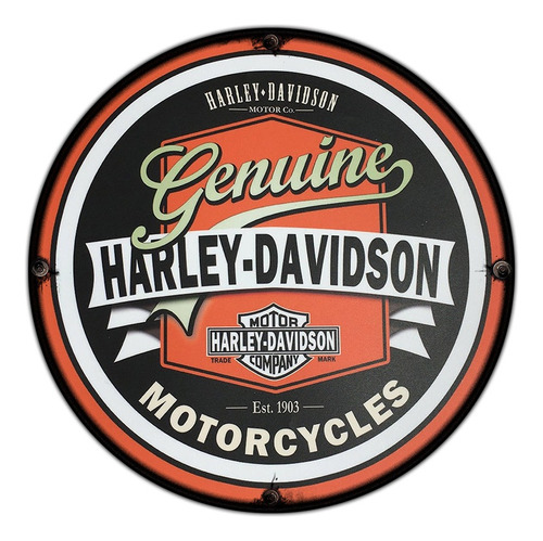 #602 - Cuadro Decorativo Vintage - Harley Davidson No Chapa