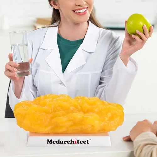 Réplica De Grasa Humana Medarchitect 2,27 Kg Para Estudio