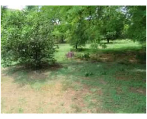 Lote En Venta / Santa Fe De Antioquia