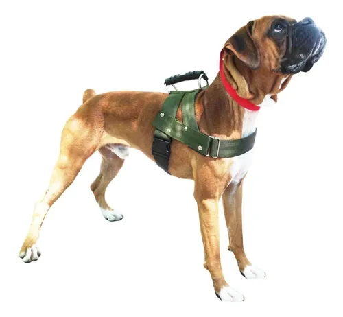 Arn s Perro Pretal Collar Correa Akita Bull Terrier Bull Dog