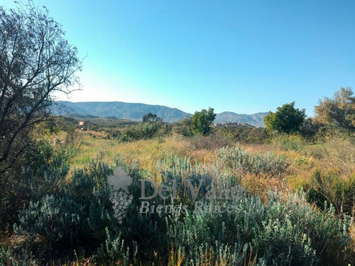 Imagen 14 de 18 de 3 Hectáreas En Valle De Guadalupe A Un Lado De Clos De Tres