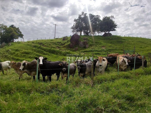 Imagem 1 de 22 de Sítio Cachoeira, Ótima Oportunidade Entre Valinhos E Itatiba À Venda Em Itatiba Sp Com 194000 M² Por R$ 2.980.000 - Vila Santa Cruz - Itatiba/sp - Sp - Si0002_proiv