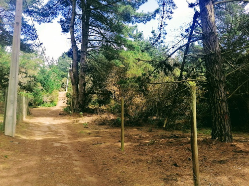 Parcela De Agrado, Km 2, Fundo Curaumilla, Laguna Verde