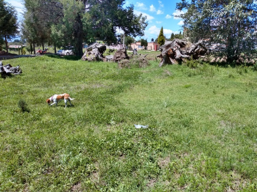Imagen 10 de 14 de Venta Terreno Urbanizado Apizaco Calpulalpan Y Tlaxcala Cerc