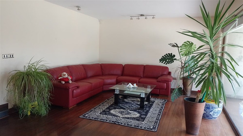 Vendo Parcela Con 5 Dorm. En Agarrobal Ii/chicureo