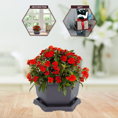 Maceta Hexagonal Suculent Planters