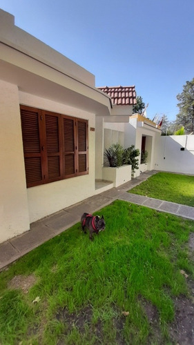 Alquiler Temporario Casa En Mendoza. Caminos Del Vino