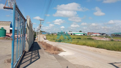 Imagem 16 de 29 de Galpão De 750m² Apenas 800mts Da Via Dutra - Ga0015