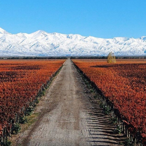 Imagen 2 de 10 de Vino Trumpeter Malbec Estuche X 2 X 750ml.