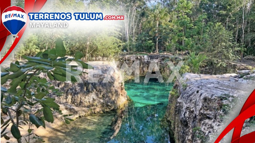 Cenote Con 17.5 Hectareas Con Frente De Carretera