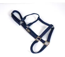 Comprar Cabresto Quarto De Milha Inox Speed Horse Azul Del Rey