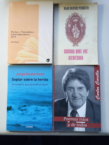 Lote De Libros De Poesías, Cuentos Y Novelas