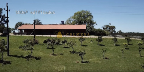 Estancia De 38 Has Con Salon De Fiestas, Cuenta Con Suelo Óptimo Para Plantación De Olivos Y Vid. Consulte!!!!!!!!-ref:2417
