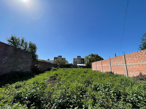 Imagen 3 de 8 de Alquiler Lote Baldio 1562m2