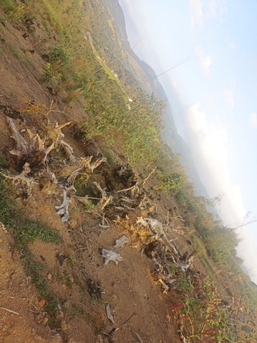 Imagem 25 de 25 de Ll- Vende-se Terreno Com Acesso Para Represa