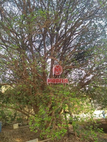Imagem 3 de 12 de Chácara Com 2 Dormitórios À Venda, 1000 M² Por R$ 400.000 - Jardim Diamante - Piracicaba/sp - Ch0175