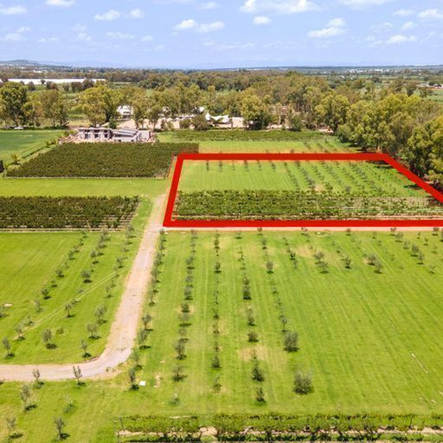 Lote En Viñedo San Francisco, San Miguel De Allende Construye Tu Hogar De Lujo