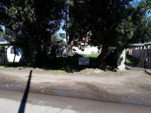 Imagen 2 de 10 de Latorre Prop. Vende Lote Sobre Av. Beltran C/mejoras -planos- Escriturado