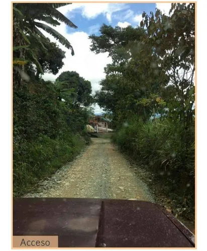 Vendo Finca De 18 Cuadras Para Ganado Y Cerdos A 15 Minutos D Fredonia