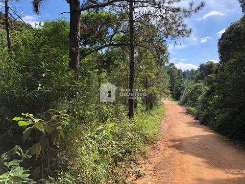 Imagem 13 de 23 de Área, São Lourenço, São Lourenço Da Serra - R$ 980 Mil, Cod: 4246 - V4246