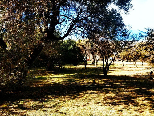 Imagen 3 de 7 de Terrenos 1000 M2 Venta Nuevo Merlo, Merlo San Luis