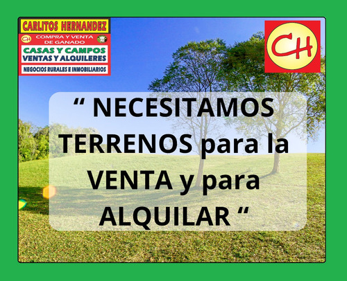 Ref 1716) ** A - Hermoso Apartamento Céntrico De 2 Dormitorios Para Alquilar, Es En San José