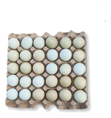 Huevos Araucanos