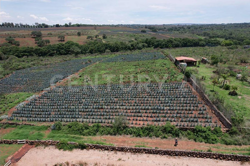 Terreno Rústico En Venta, Arandas, Jalisco.