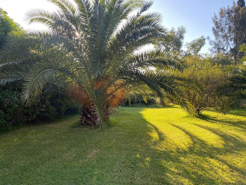 Imagen 3 de 6 de Terreno En Venta En La Zona De La Pista