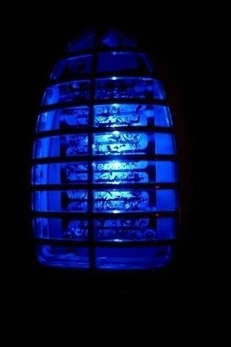 Kit 3 Mata Insetos Voadores E Mosquito Luminária Led Bivolt