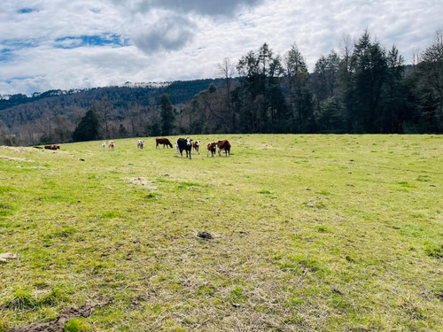 Se Vende Proyecto Aprobado Por Sag Panguipulli Los Lagos