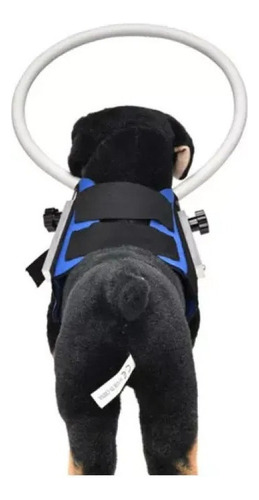 Anel Anti-colisão Para Cães Cegos, Anel Colete Cor Azul Tamanho Da Coleira P