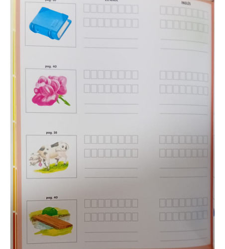 Diccionario Visual Infantil Español Inglés