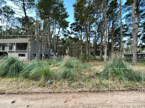 Imagen 6 de 6 de Lote En Venta Costa Esmeralda Arbolado Y Fondo Libre Único