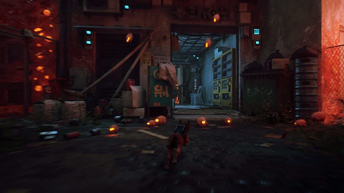 Stray - Play Station 4, Físico