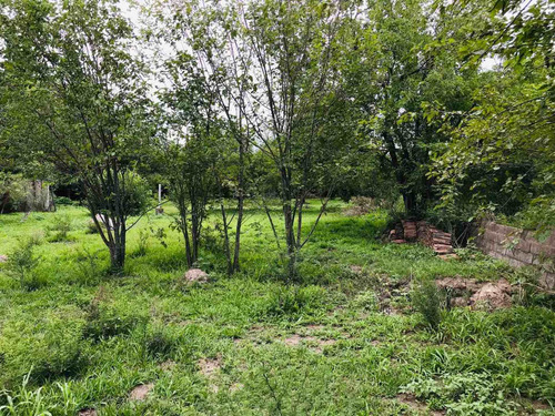 Imagen 9 de 18 de Hectarea + Galpon + Casa Venta A Metros De Ruta 26