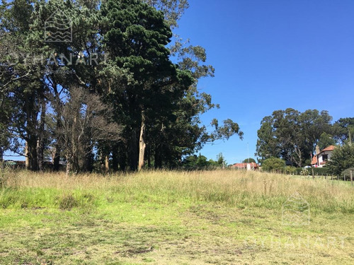 Imagen 7 de 10 de Terreno Comercial En Sierra De Los Padres