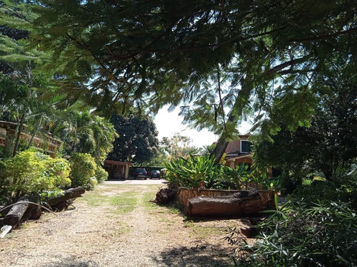 Venta Parcela Safari Country Club, Valencia