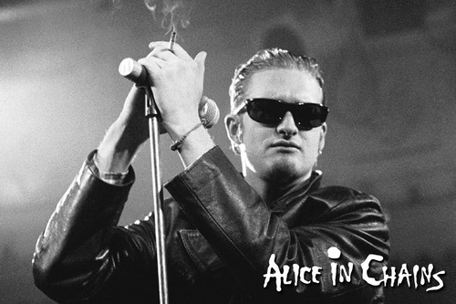 Alice In Chains Layne Staley Poster Po223 30x45 Soundgarden