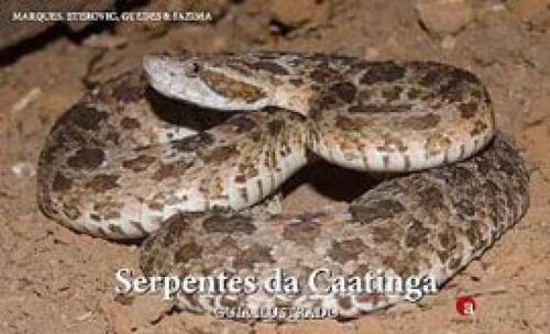 Serpentes Da Caatinga Guia Ilustrado, De Marques, Otavio A. V.. Editora Ponto A Editora, Capa Mole Em Português