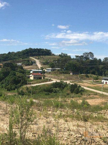 Imagem 8 de 11 de Terreno À Venda, 394 M² Por R$ 200.000,00 - Mariland - Caxias Do Sul/rs - Te0254