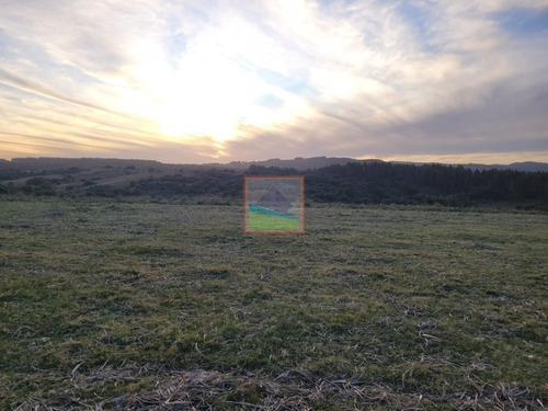 Imagen 7 de 26 de 70 Hectáreas De Campo Ganadero Corte De La Leña