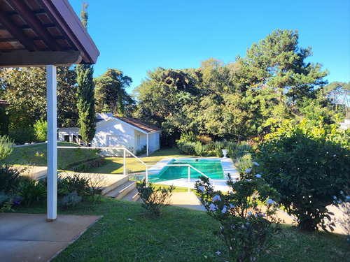 Sobre Avenida Cordoba Punta Del Este