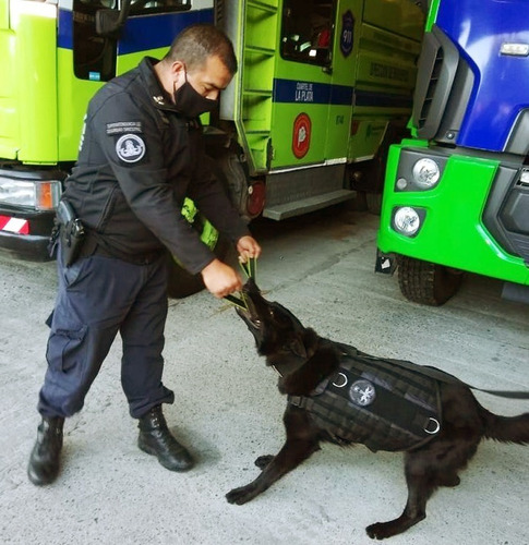 Imagen 3 de 6 de Mordedor 3 Asas De Cuero Para Entrenamiento Perros Klokan