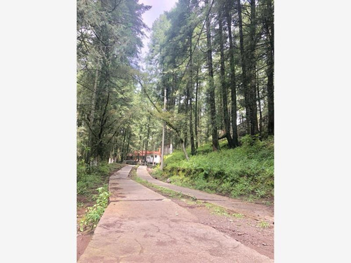 Imagen 5 de 12 de Terreno En Venta Mineral Del Monte Centro