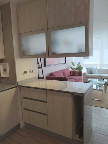 Arriendo Departamento Amoblado En Sector Sur (92514)