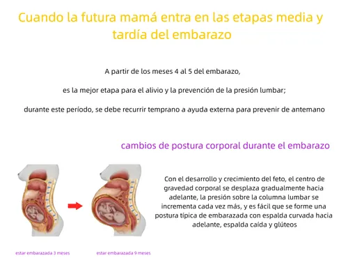Cintur&oacute;n De Soporte Para Embarazo, Ligero Todo El D&iacute;a