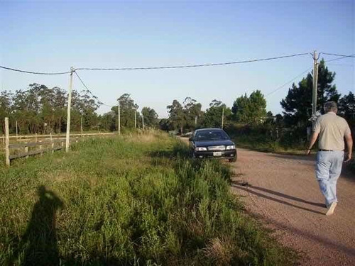 Imagen 2 de 12 de Lote La Barra Punta Del Este 900m2